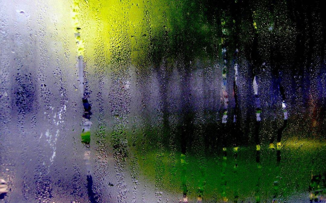 condensation-on-windows-energy-efficient-windows-and-doors-Weaver-Exterior