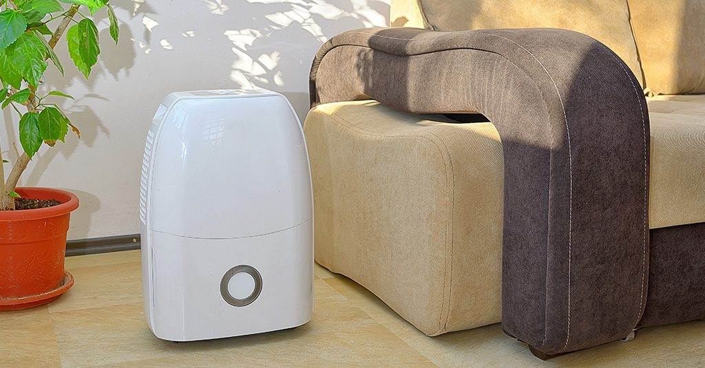 use a dehumidifier - maintain proper humidity levels - Weaver Exterior Barrie