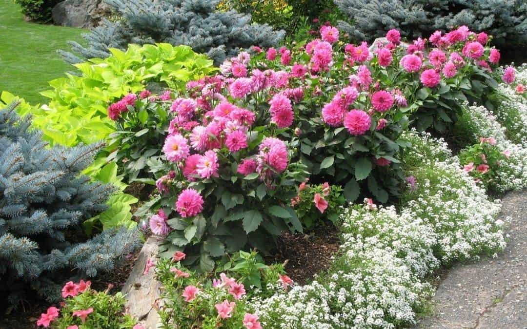 prepare-garden-for-summer-Weaver-Exterior