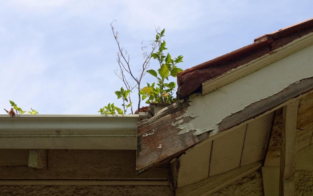 Weaver Exterior - How To Keep Eavestroughs Clean