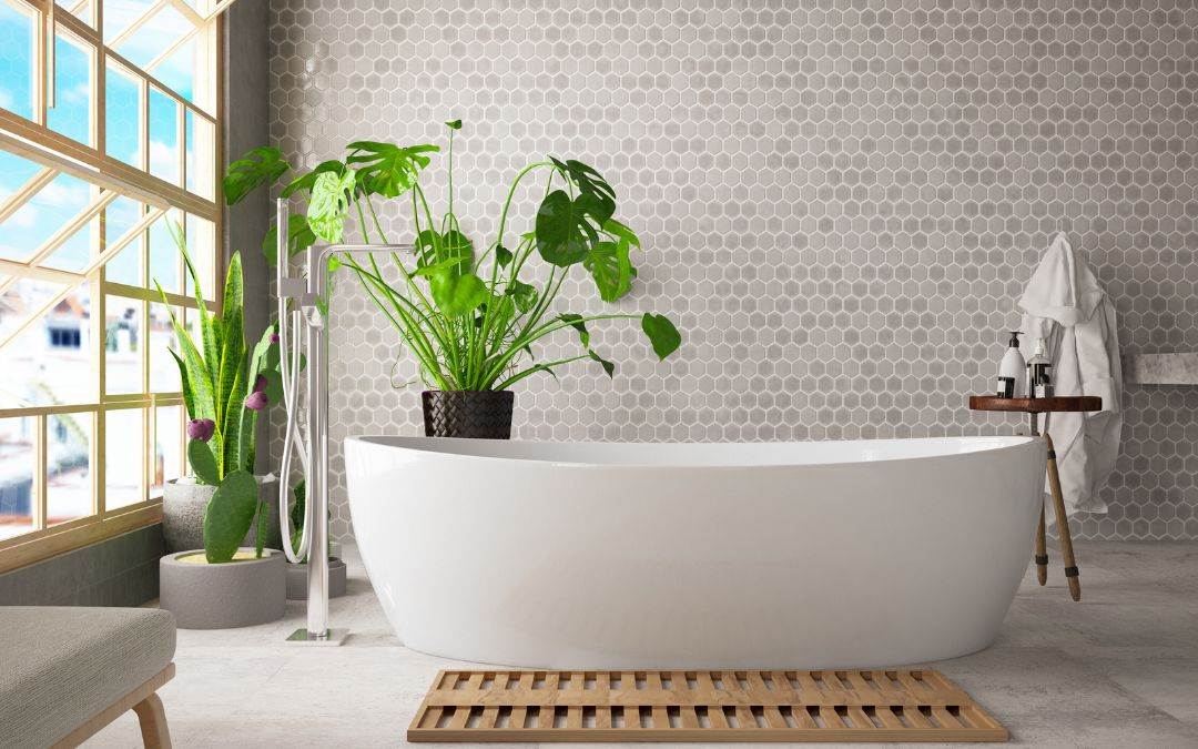 best-type-of-windows-to-use-in-your-bathroom