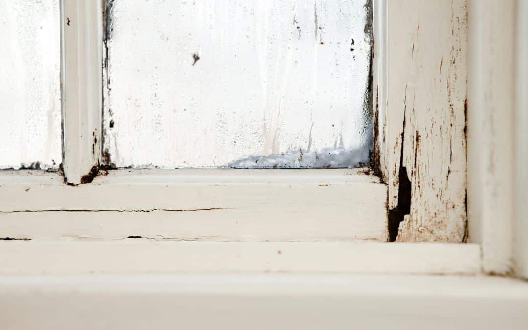 vinyl-windows-vs.-aluminum-or-wood